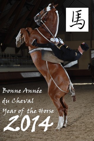 2014-année-cheval